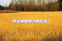 防止蟑螂侵入的方法？